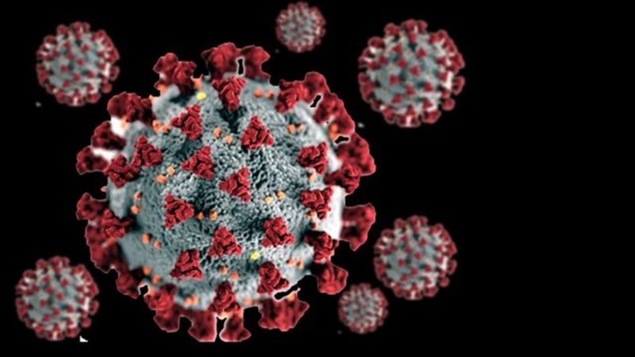 Korona virüsün dünya çapında yayılmasıyla ilgili son durum