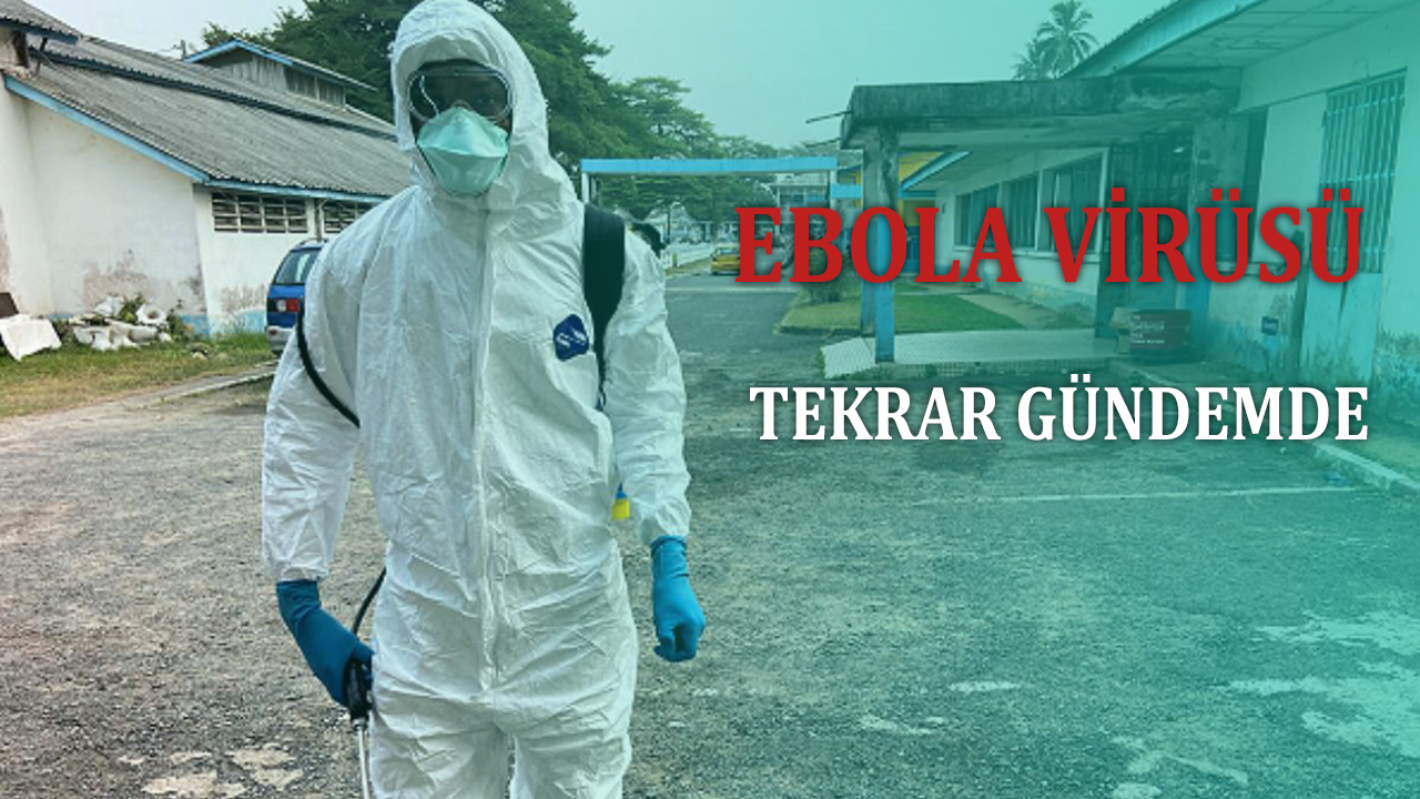 Ebola virüsü tekrar gündemde