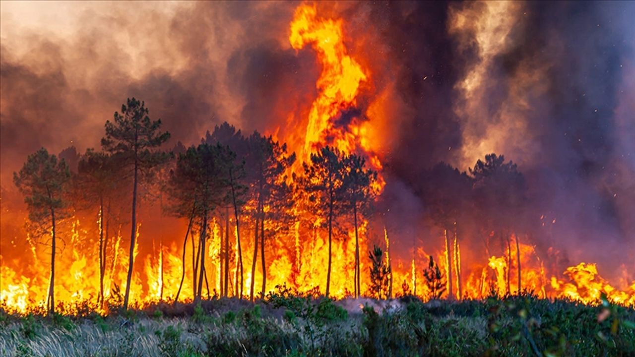 Avrupa'da orman yangınları devam ediyor