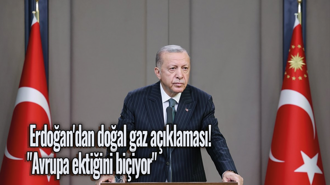 Cumhurbaşkanı Erdoğan'dan doğal gaz açıklaması! "Avrupa ektiğini biçiyor"