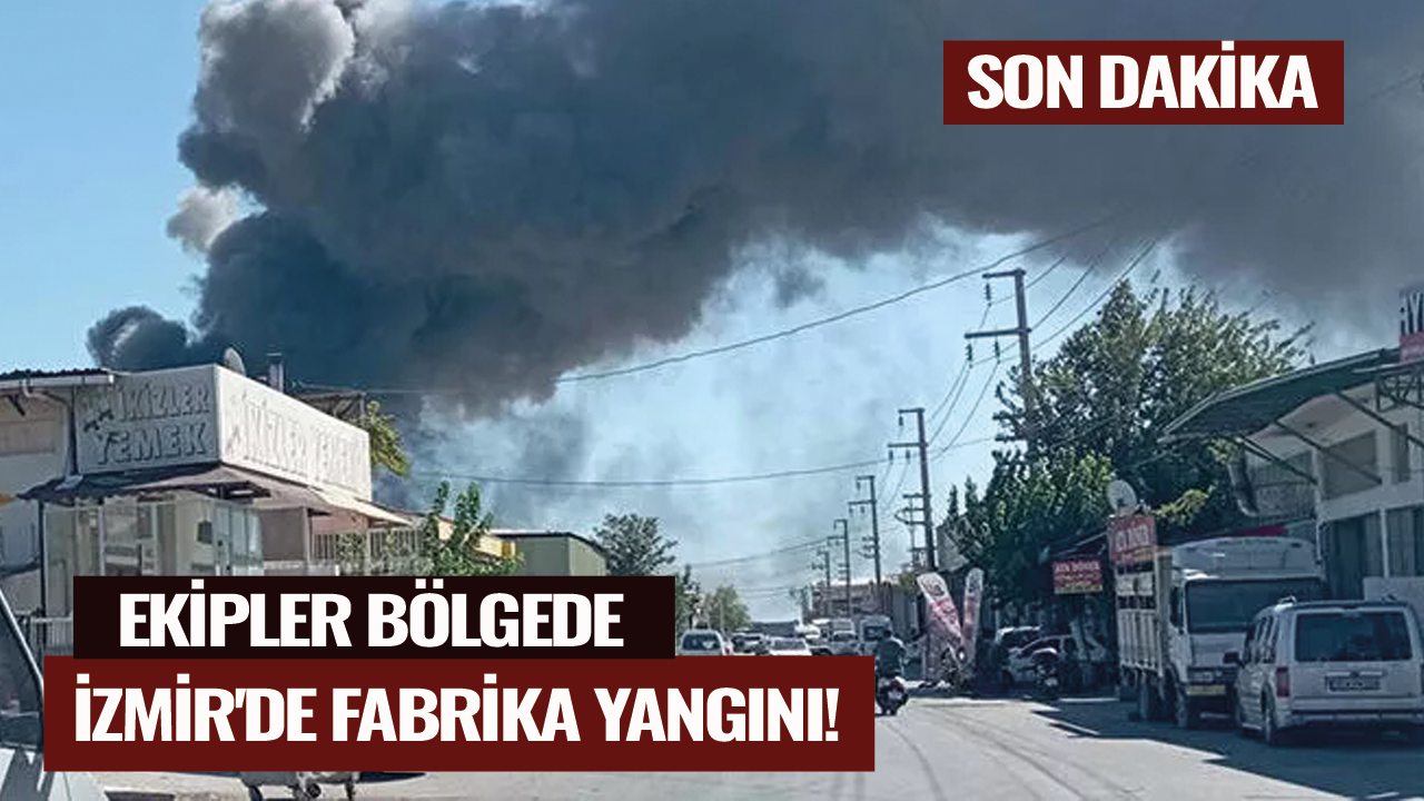 Son dakika... İzmir'de fabrika yangını! Ekipler bölgede