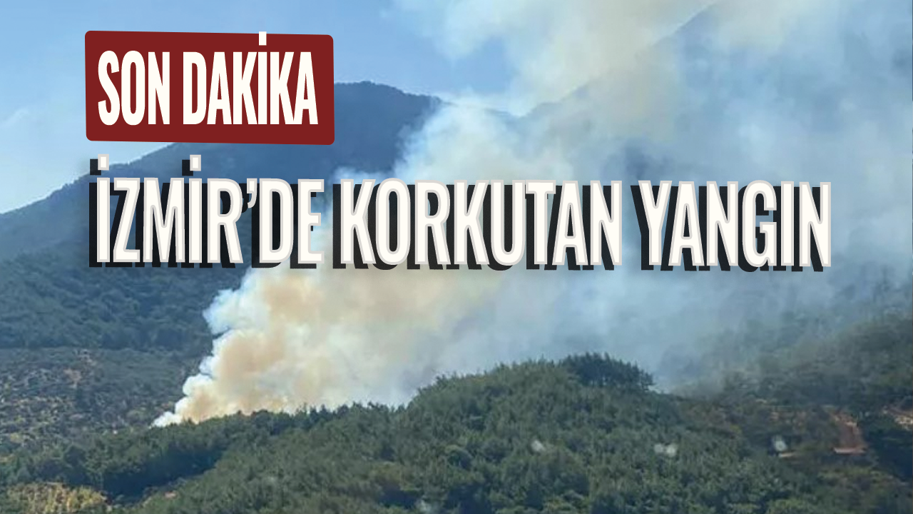 Son dakika! İzmir'de orman yangını