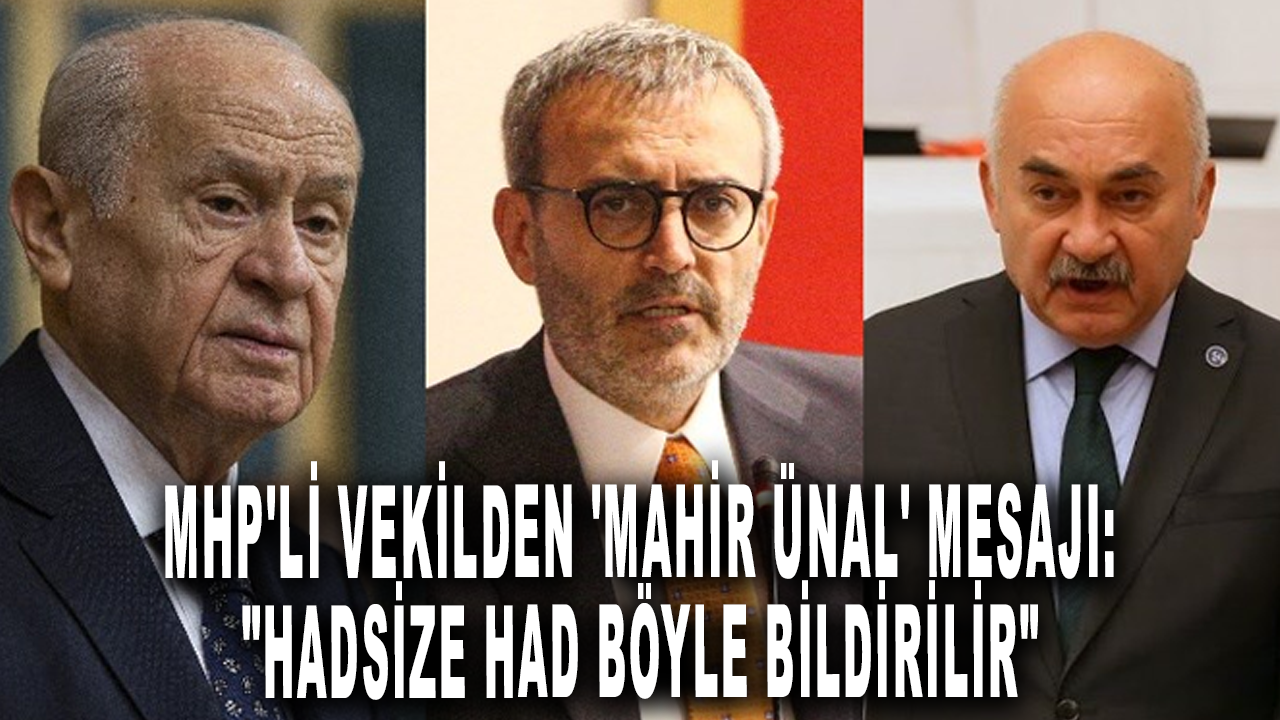 MHP'li vekilden 'Mahir Ünal' mesajı: "Hadsize had böyle bildirilir"
