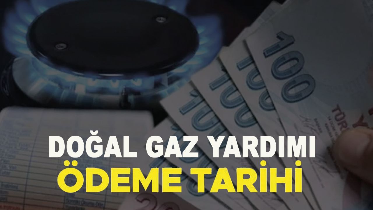 Cumhurbaşkanı Erdoğan'dan doğal gaz yardımı ödemesi açıklaması! Başvuru şartları neler?
