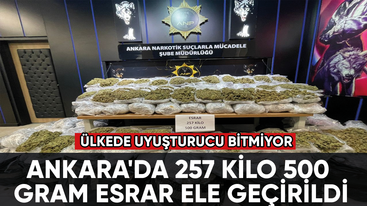 Ankara'da 257 kilo 500 gram esrar ele geçirildi