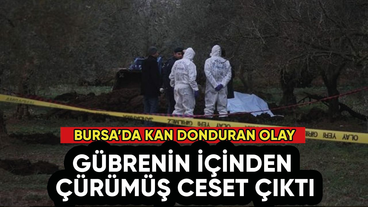 Bursa'da gübrenin içinden ceset çıktı