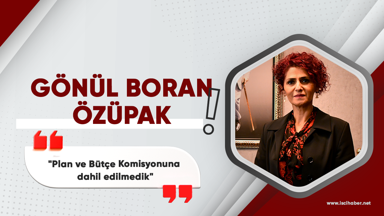 Gönül Boran Özüpak: "Plan ve Bütçe Komisyonuna dahil edilmedik"