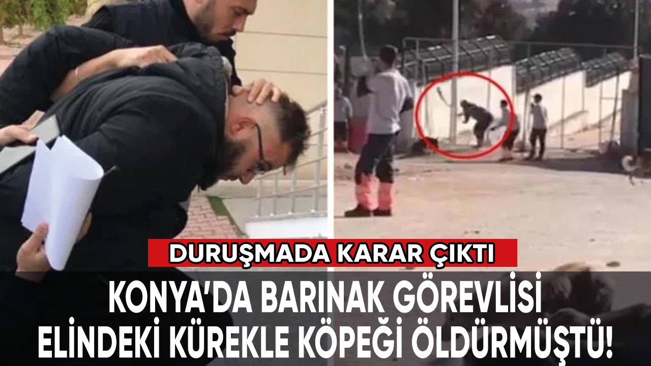 Konya'da barınaktaki köpeği kürekle öldürmüşlerdi: İlk duruşmada karar çıktı!
