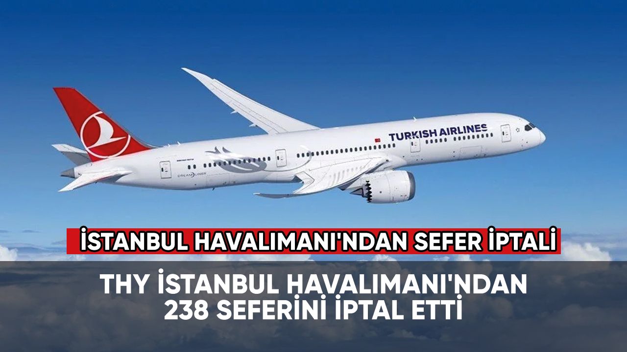 THY İstanbul Havalimanı'ndan 238 seferini iptal etti