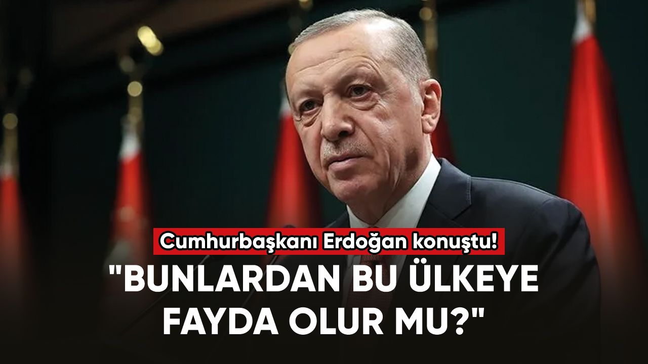 Cumhurbaşkanı Erdoğan: "Bunlardan bu ülkeye fayda olur mu?"