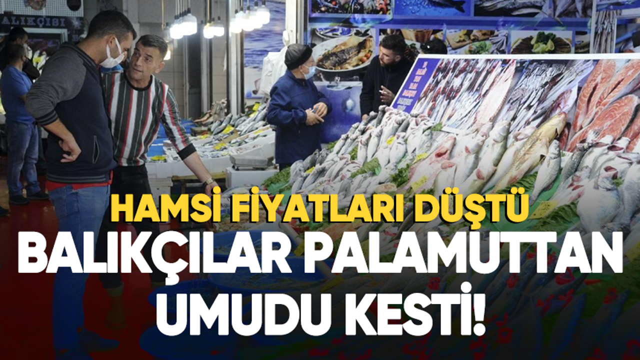 Balıkçılar palamuttan umudu kesti! Hamsi fiyatları düştü