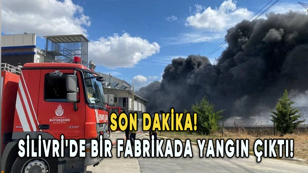 İstanbul Silivri'de bir fabrikada yangın çıktı!