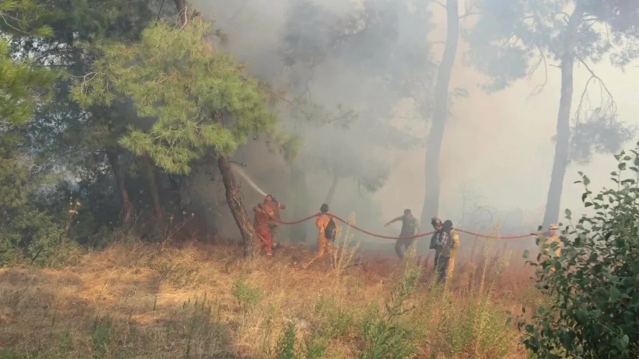 İzmir'deki orman yangını büyük tahribata yol açtı