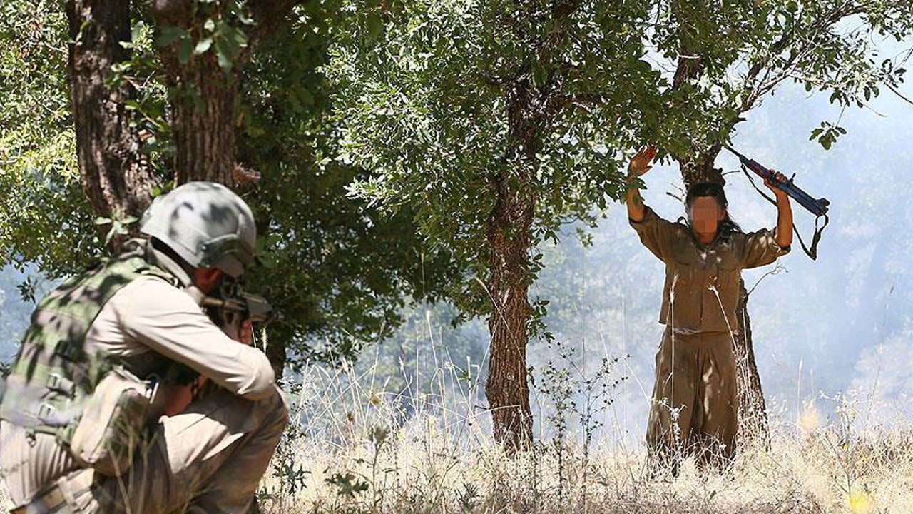 PKK'lı terörist ikna yoluyla teslim oldu