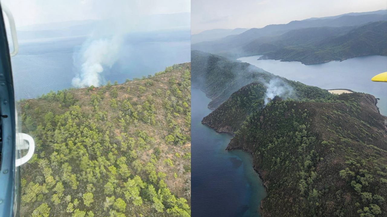 Muğla Marmaris'te orman yangını: Ekipler seferber oldu
