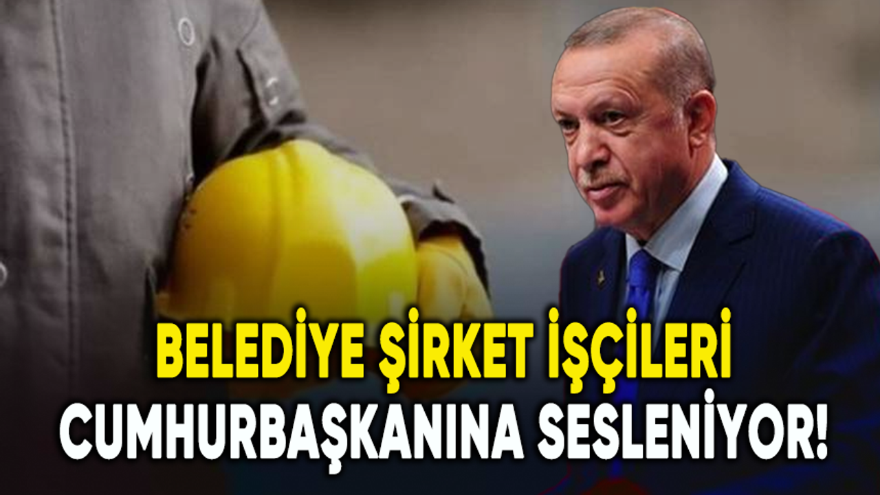Belediye şirket işçileri Cumhurbaşkanı Erdoğan'a sesleniyor!
