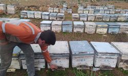 Adana Kozan'da bazı kovanlarda görülen arı ölümleri üzerine inceleme başlatıldı