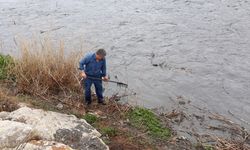 Amasya'da su seviyesi yükselen nehirde vatandaşlar tırmıkla balık tuttu