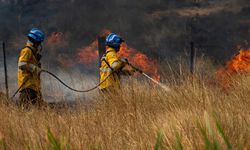 Arjantin'de haftalardır süren orman yangınının zararı en az 240 milyon dolar