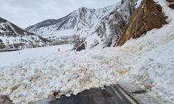 BİNGÖL - Karlıova-Yedisu kara yolu çığ nedeniyle kapandı