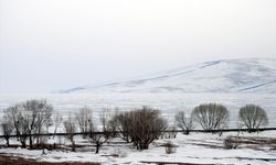 Kars, Ağrı ve Ardahan'da sis ve soğuk hava etkili oldu