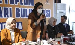 AK Parti'li Keşir, Sivil Toplum Kuruluşları Buluşması'nda konuştu: