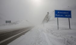 ARDAHAN - Kar yağışı ve soğuk hava yaşamı olumsuz etkiliyor