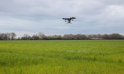 Antalya'daki buğday tarlası insansız hava araçları ile gübrelendi