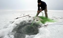 ARDAHAN - Çıldır Gölü'nde balıkçılar buz altındaki son ağlarını çekiyor