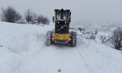 ARDAHAN - Kar nedeniyle kapanan 138 köy yolu ulaşıma açıldı
