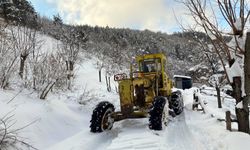 Bartın, Sakarya ve Karabük'te kardan kapanan 128 köy yolu ulaşıma açıldı