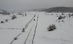 Bilecik'te 24 köy yolu kardan kapandı