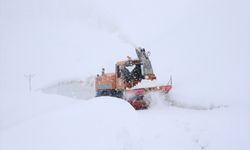 Bitlis'teki köy yollarında karla mücadele çalışmaları sürüyor