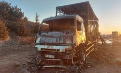 Bolu'da kamyonda çıkan yangında yüzlerce tavuk telef oldu