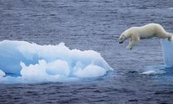 Kutuplarda olağan dışı sıcaklık artışı