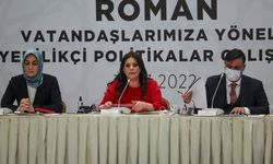 Cumhurbaşkanı Erdoğan, AK Parti'de Romanlara yönelik çalıştayda katılımcılara telefonda seslendi:
