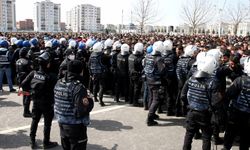 Diyarbakır'da HDP'nin nevruz etkinliğinde polise saldıran gruba müdahale edildi