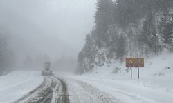 Domaniç Dağı'nda kar nedeniyle ulaşımda aksamalar yaşanıyor