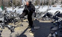 Emekli itfaiyeci karla kaplı Ardahan'da aç kalan güvercinleri besliyor
