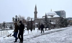 ERZURUM - Doğu Anadolu'da kar ve soğuk hava etkili oluyor