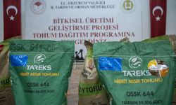 Erzurum'da çiftçilere tohum desteği verilmeye başlandı