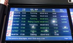 GÜNCELLEME 2 - Çin'de China Eastern Havayolları'na ait, 132 kişiyi taşıyan uçak düştü