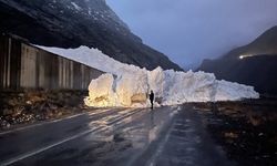 Hakkari-Çukurca kara yolundaki Sümbül kar tünelinin üzerine çığ düştü