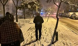 ISPARTA - Kar etkili oluyor