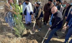 KABİL - TİKA'dan Afganistan-Türkiye dostluğunun 101. yılında ağaçlandırma etkinliği