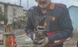 Karabük'te havalandırma boşluğunda mahsur kalan kedi yavrusu kurtarıldı