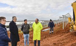 Karacabey'de güneş enerji santraliyle günlük bin hanenin elektriği karşılanacak