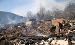 Kastamonu'da 7 ev ile 7 ahır yandı (3)