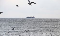 Marmara Denizi'nde poyraz 4 gündür etkisini sürdürüyor