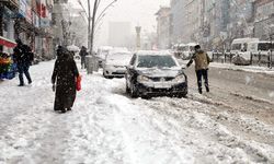 MUŞ - Kar yağışı ulaşımda aksamalara neden oldu
